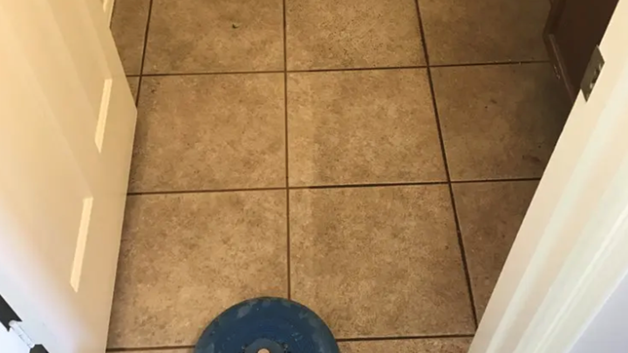 Tile Cleaning